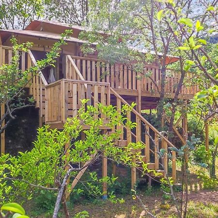 فندق Orbis Boussagues La Tour-sur-Orb المظهر الخارجي الصورة